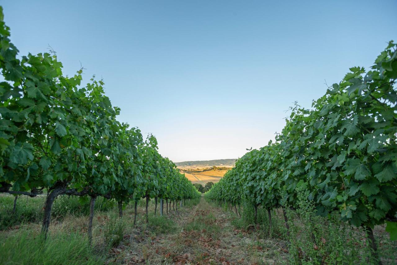 Agriturismo Cappellese Castelnuovo della Misericordia Exteriér fotografie