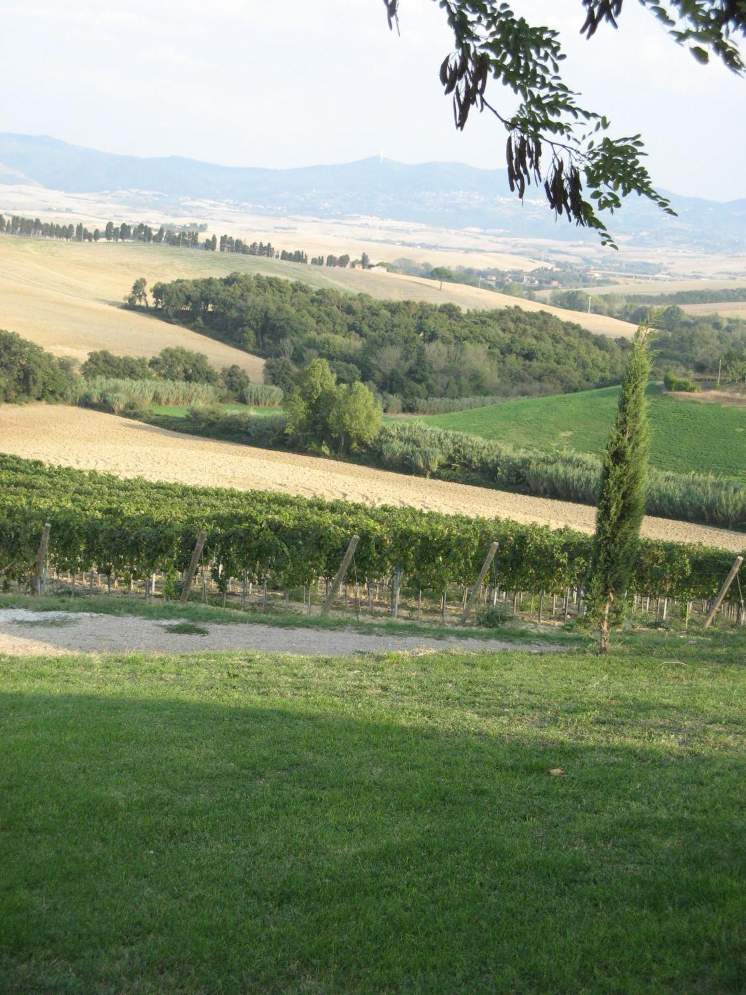 Agriturismo Cappellese Castelnuovo della Misericordia Exteriér fotografie