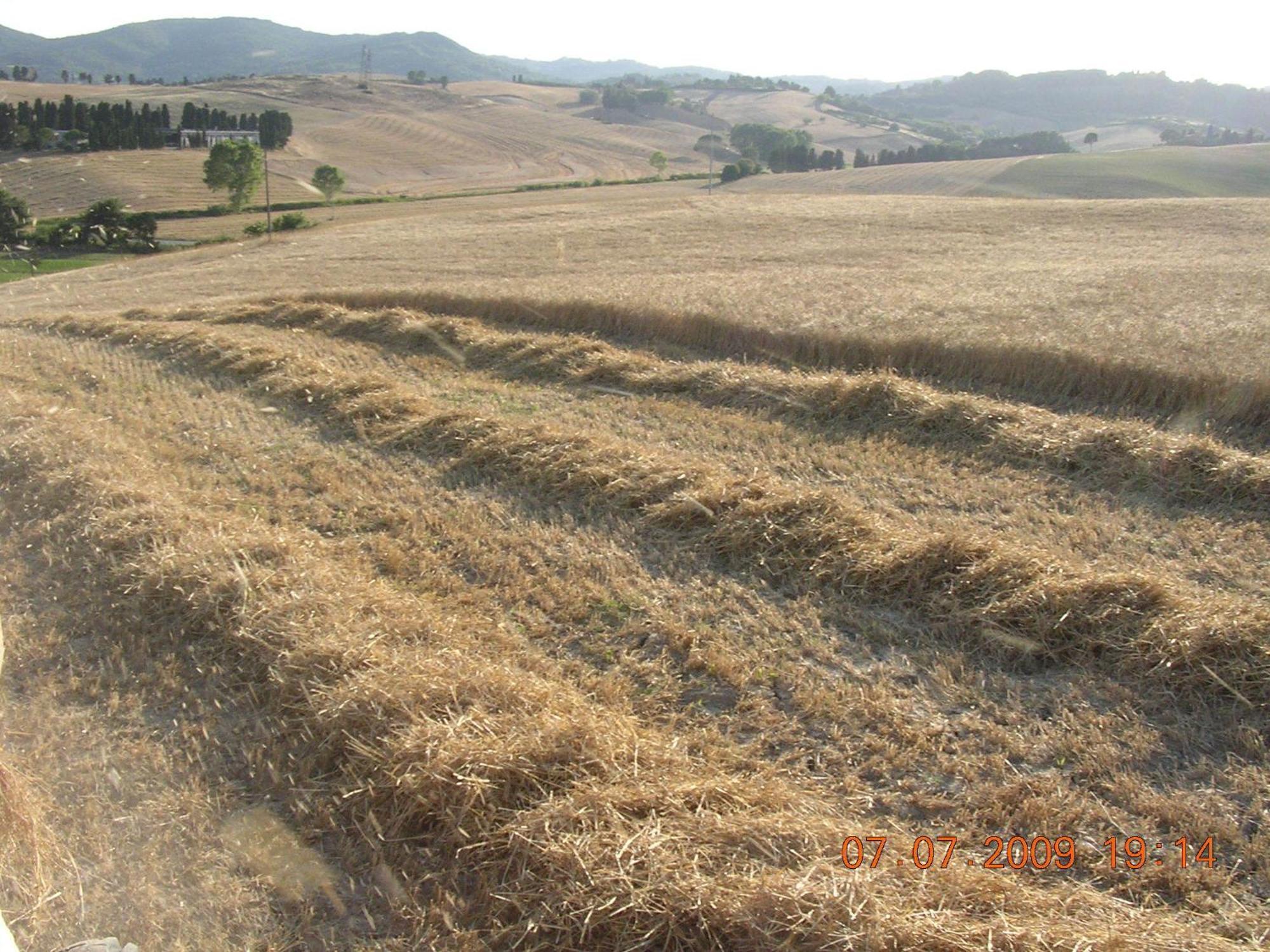 Agriturismo Cappellese Castelnuovo della Misericordia Exteriér fotografie